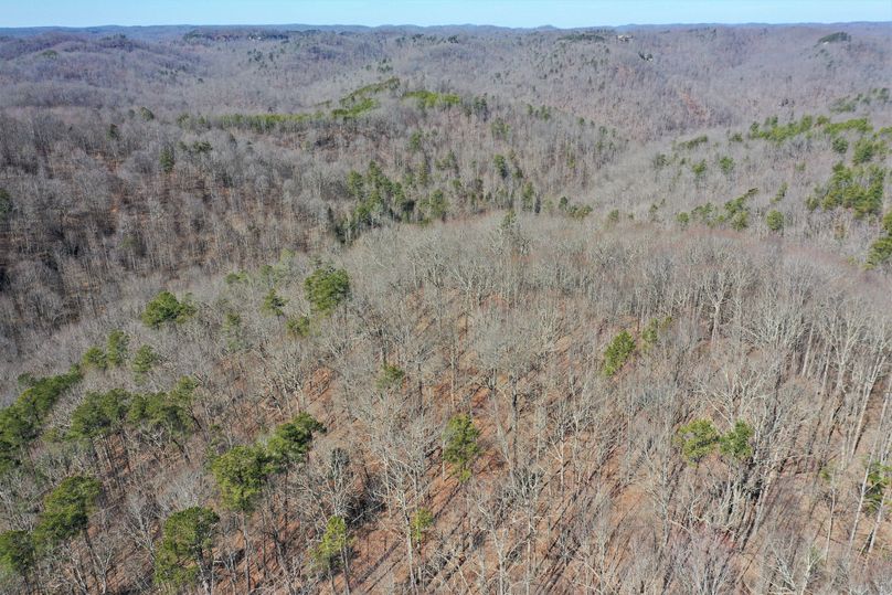 028 aerial drone shot from the south boundary looking north from the south boundary
