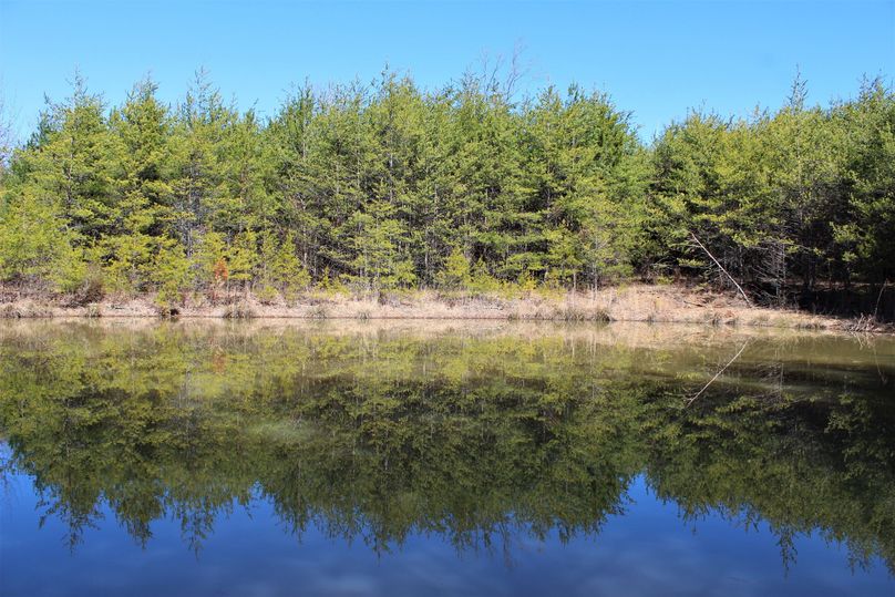 001 the largest of 3 ponds sitting along the ridge on the west side