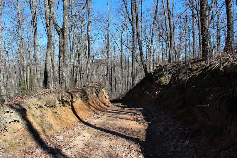 018 not going to run off that road!!