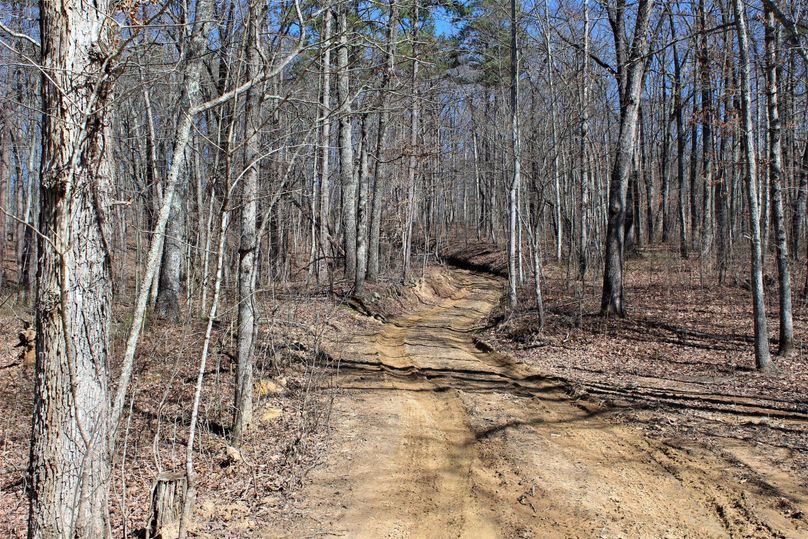 032 the CR 1241 leading in from the southeast