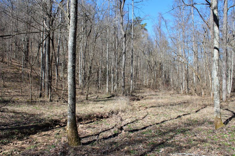 011 some of the flat area in the valley near the old homestead