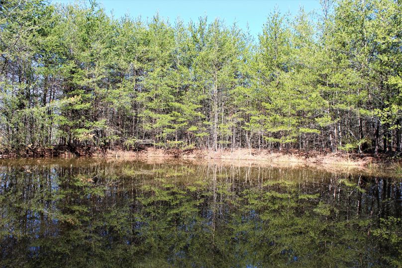 031 the 2nd of 2 ponds located along the west ridge