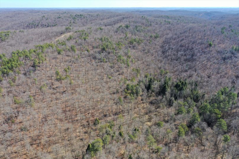 009 aerial drone shot from the south boundary looking to the south up the valley