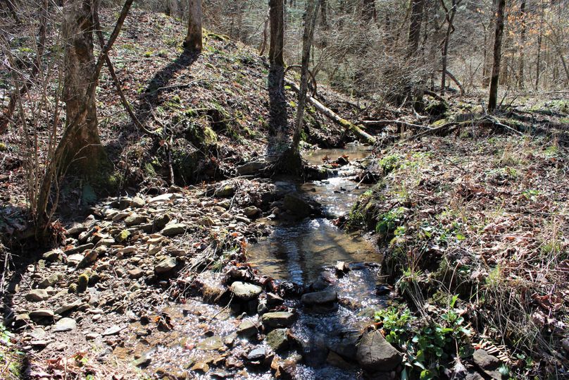 016 the seasonal stream flowing north down the valley