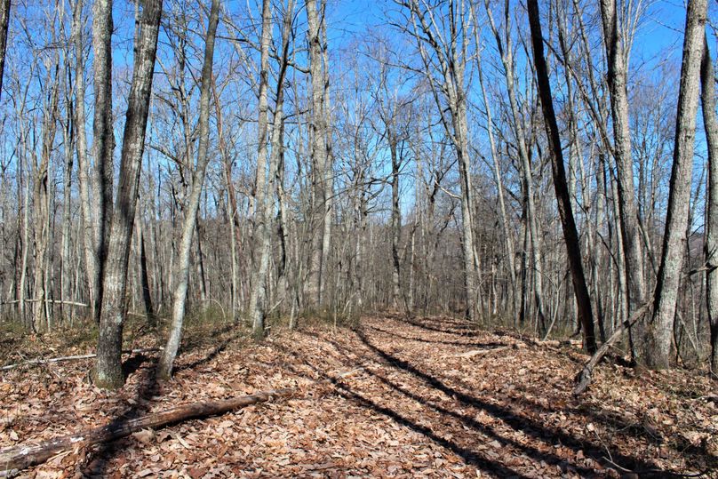017 hardwood flat near the south boundary, perfect for a cabin