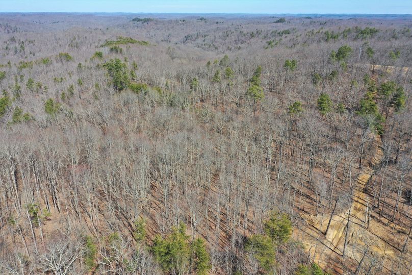 019 aerial drone shot from the south boundary looking to the east