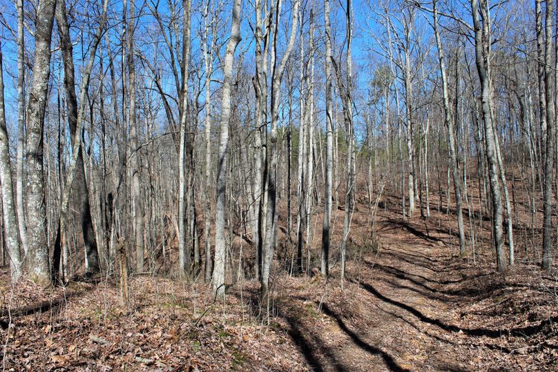 030 open trail system leading along the west boundary