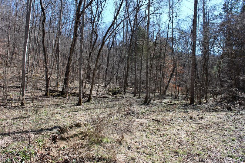 033 open valley area in the bottom of the main valley