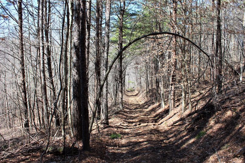 006 one of the internal roads leading to the north along the east ridge