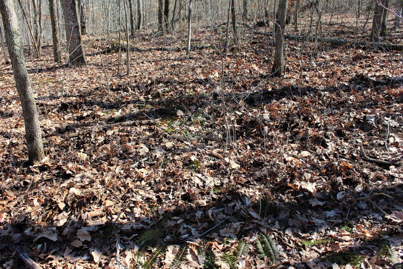 005 load of turkey sign, scattered throughout