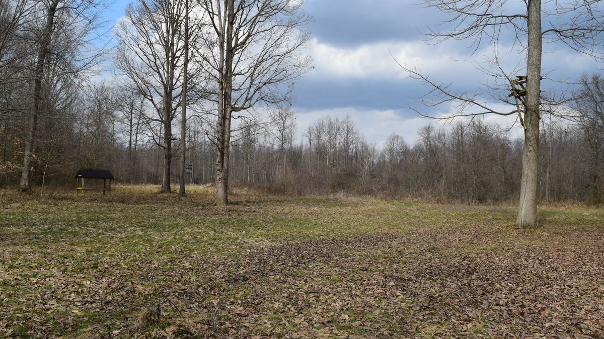 Outstanding Hunting Property With History Of Trophy Whitetails