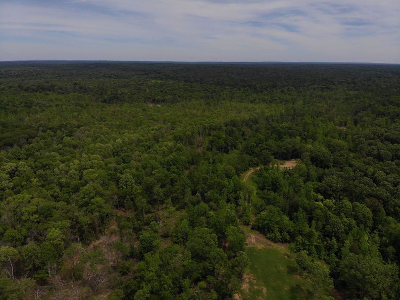 DJI_0316