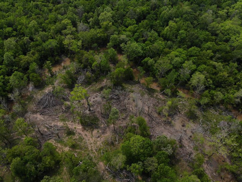 DJI_0313