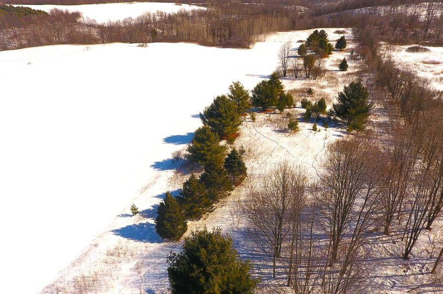 DJI_0003