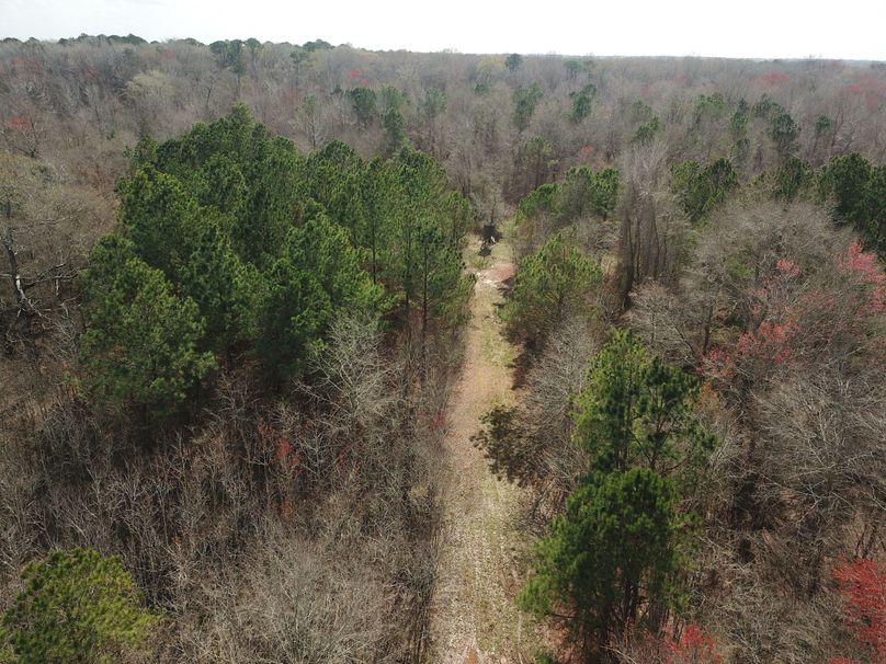 DJI_0032
