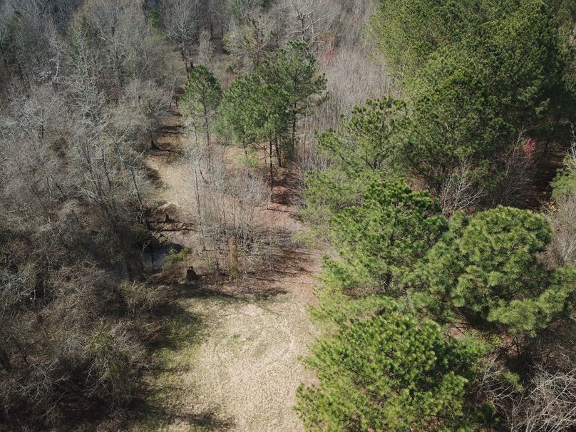 DJI_0037