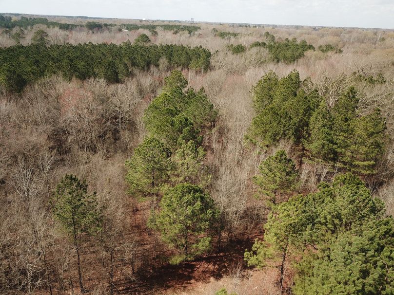 DJI_0030