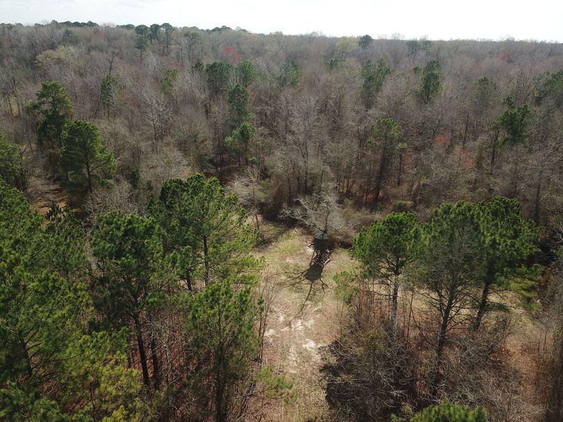 DJI_0033