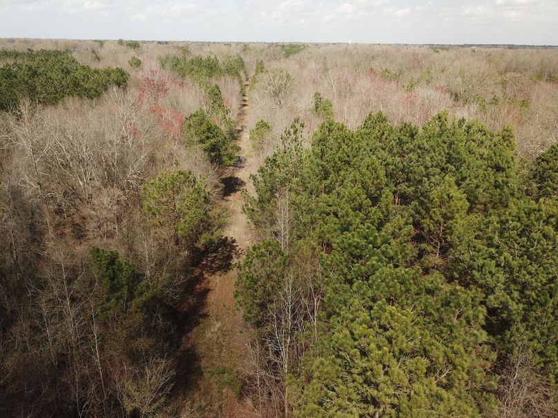 DJI_0038