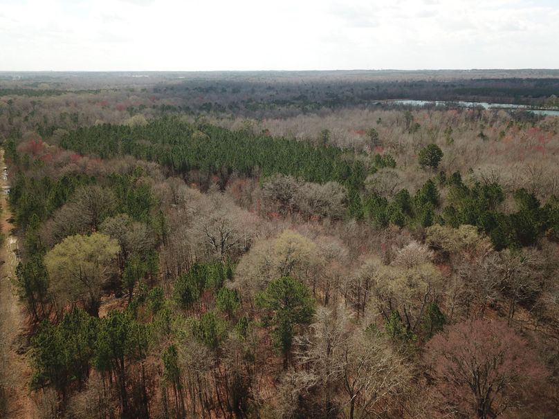 DJI_0019