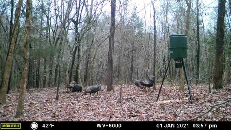 downloaded637451179731310390