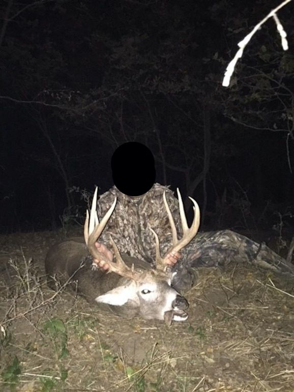 Adobe Photoshop 2022144968031275978