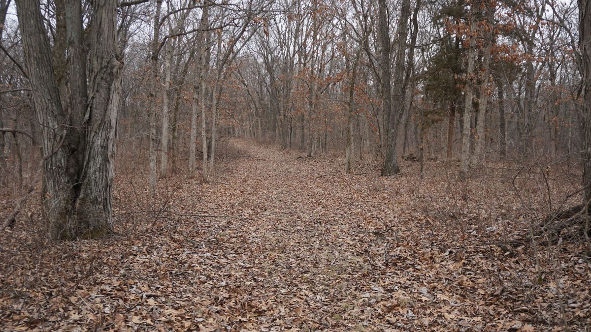 All Timbered Hunting And Recreational Property Located In Northeast Mo Whitetail Properties