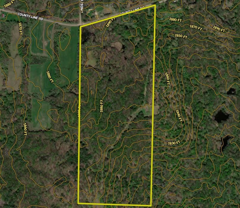 Screen Shot 2022-03-15 at 1.00.07 PM