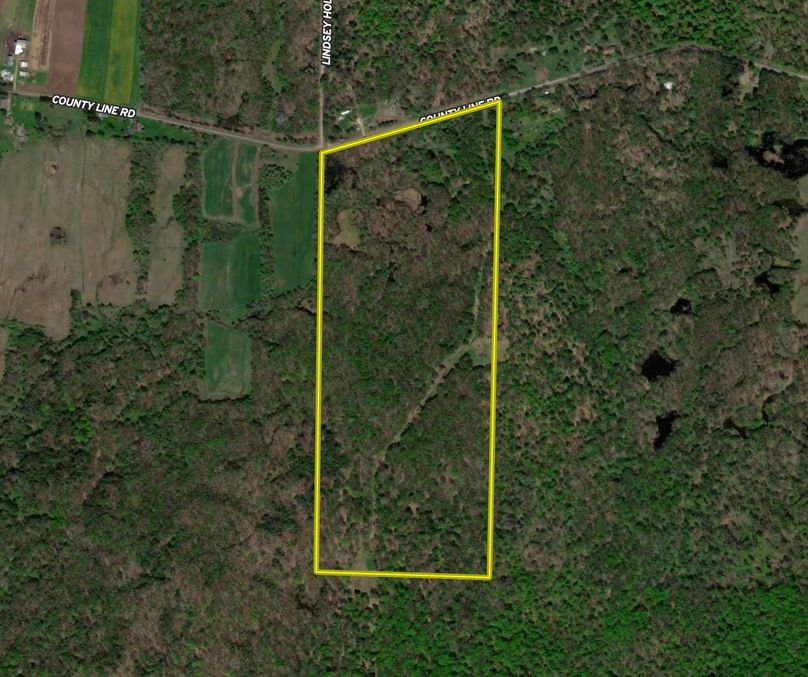 Screen Shot 2022-03-15 at 12.59.19 PM