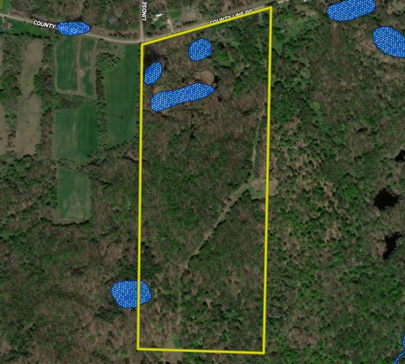 Screen Shot 2022-03-15 at 1.00.26 PM