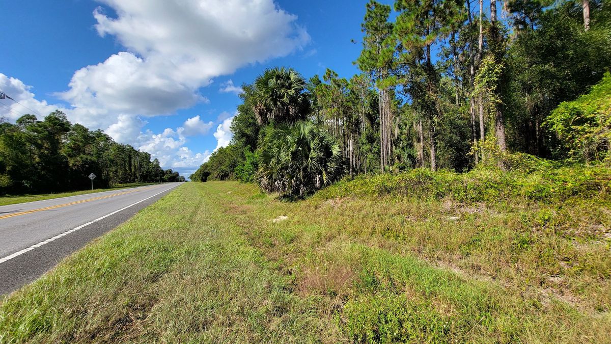 Development Potential Tract Near Geneva FL Whitetail Properties
