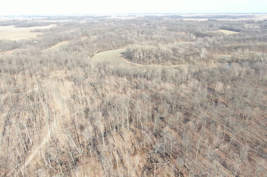 DJI_0578