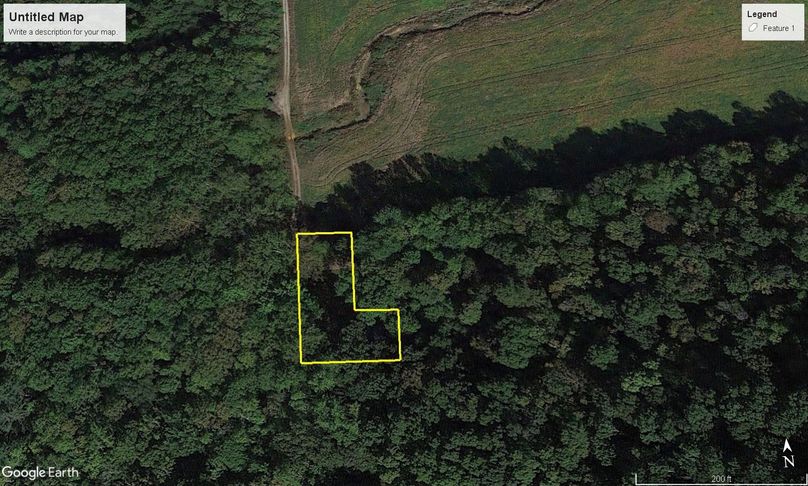 Williams Cabin Google 1