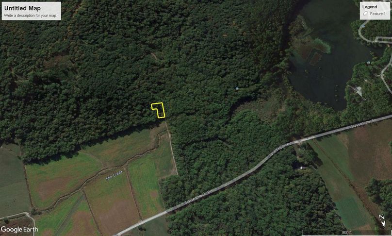 Williams Cabin Google 4