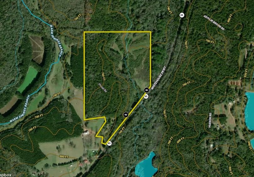 Meriwether county 62.38 acres map1