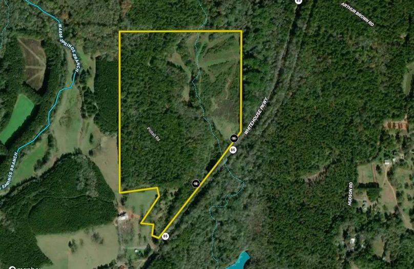 Meriwether county 62.38 acres map