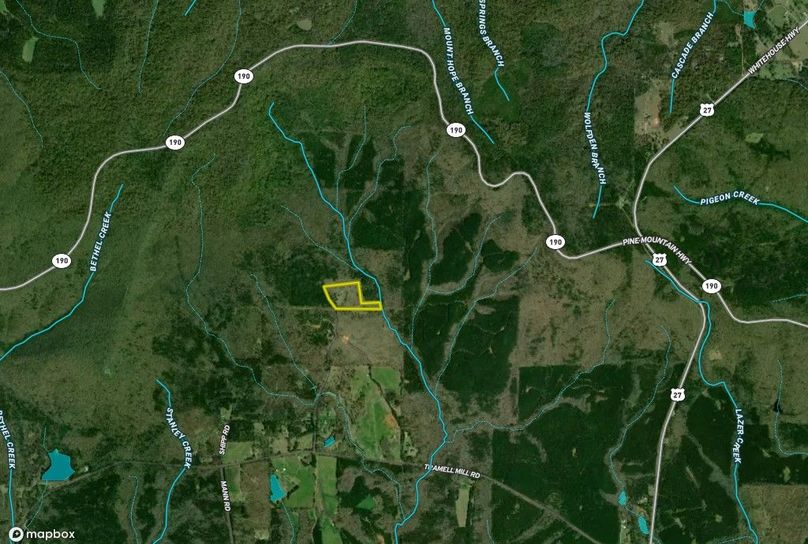 Harris county 16.93 acres map2
