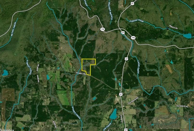 Harris county 59.98 acres map2