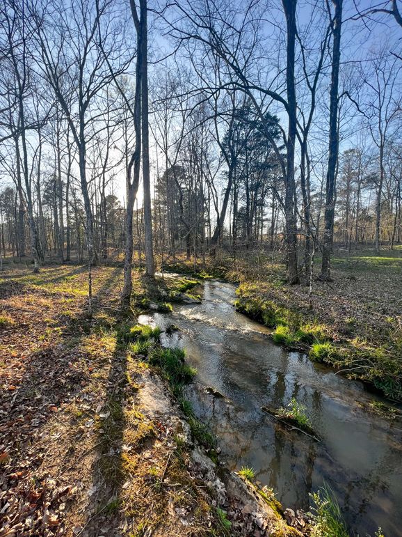 9A15BA79-B365-4BD6-821C-863E44AF374F