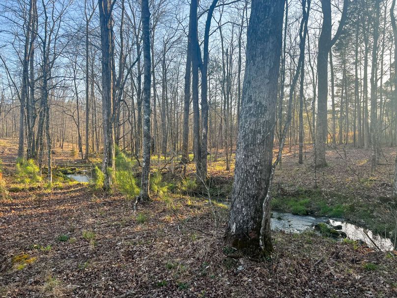 87A14219-0A0B-4597-AD90-9B109E7FDEED