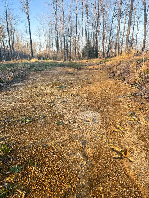 9A09A0B1-E58B-4162-A63D-A57449F06014