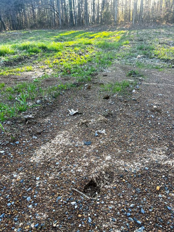 AD5713FE-9D0E-45EF-AF15-6F370D37DB70