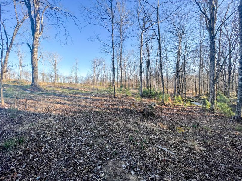 5C0BAEE4-4A01-4A86-80E6-DCB88F946626