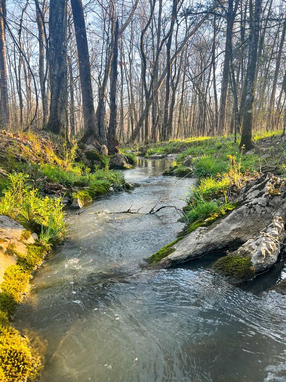 7761A1AC-7282-40A5-93E3-1FEE330BD08E