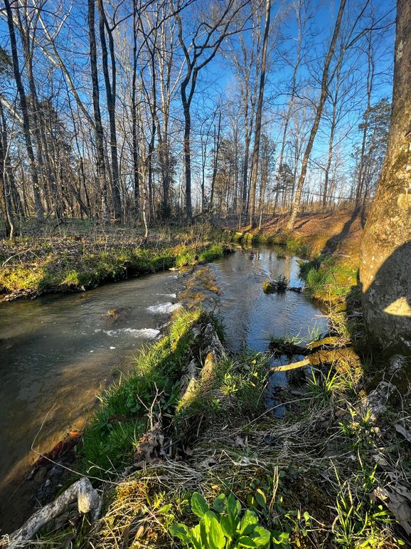 9F9B8BF9-3FDE-4498-B0FE-5DC1DC060052