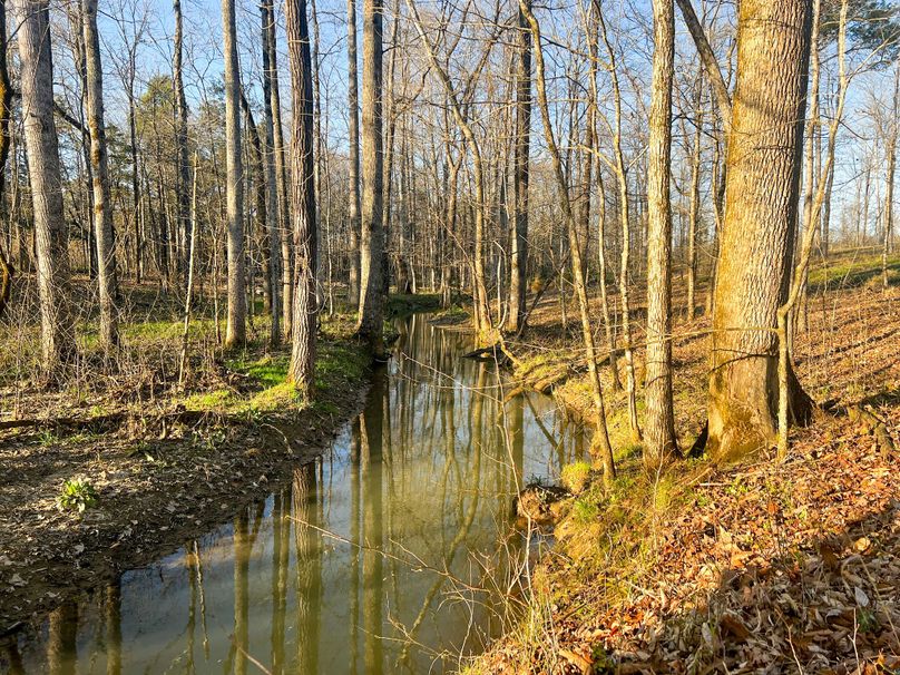 40A71AFF-5D23-4528-BA9C-E4D7B1D68CF9