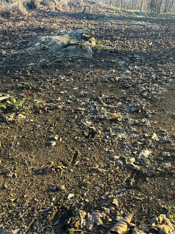 27722003-F701-42DF-8450-7BDA2288D6B4