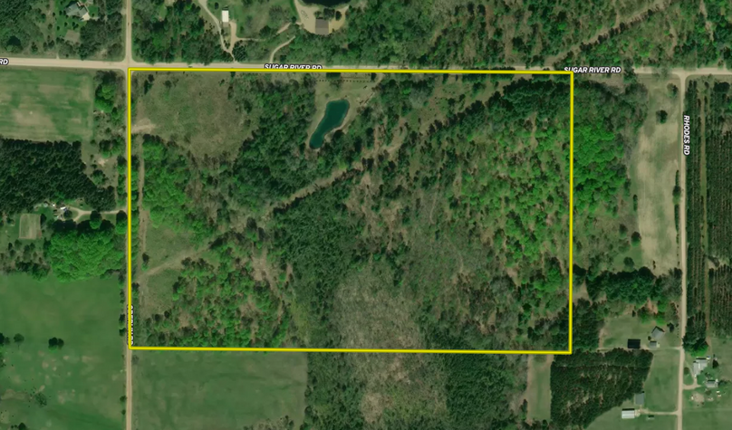 Screen Shot 2022-03-28 at 9.30.09 AM