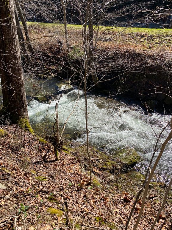 Cherokee 20 Brady-10