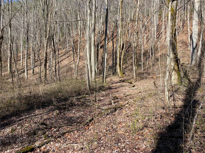 Cherokee 20 Brady-02